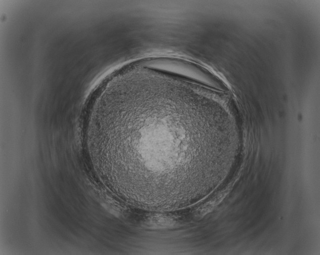 X0000086301311200704091011