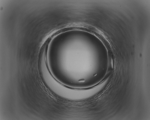 X0000086301312200704091011