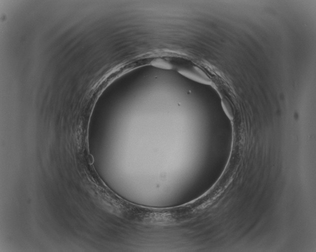 X0000086301313200704091011