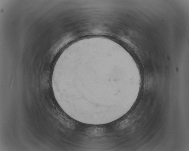 X0000086301314200704091011