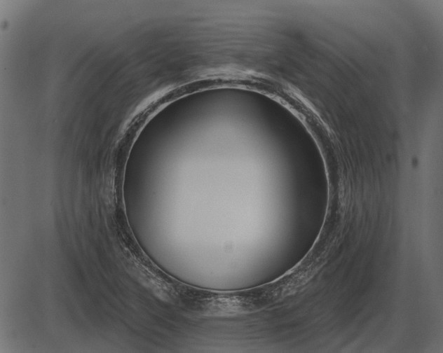 X0000086301315200704091011