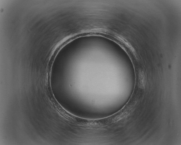 X0000086301316200704091011