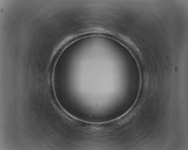 X0000086301318200704091011