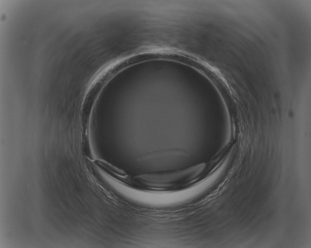 X0000086301319200704091011