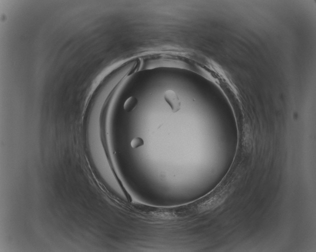 X0000086301320200704091011