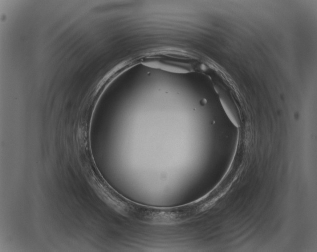 X0000086301321200704091011