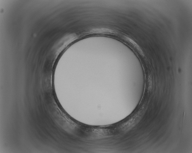 X0000086301322200704091011