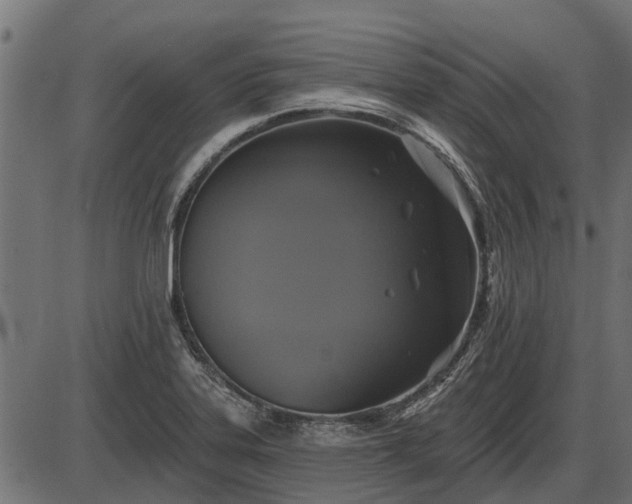 X0000086301323200704091011