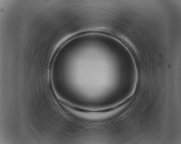 X0000086301324200704091011