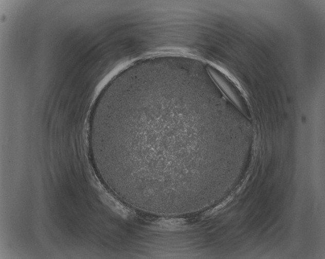 X0000086301325200704091011