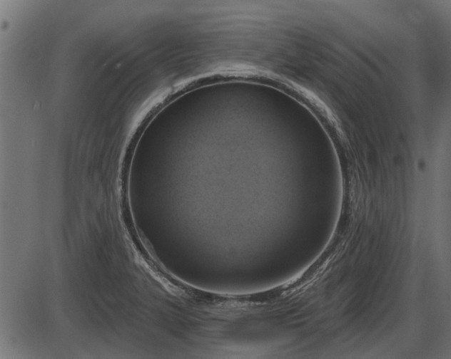 X0000086301327200704091011