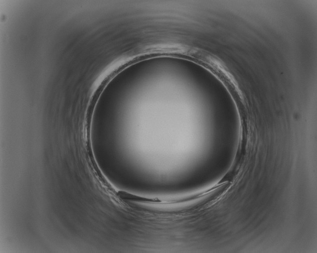 X0000086301328200704091011