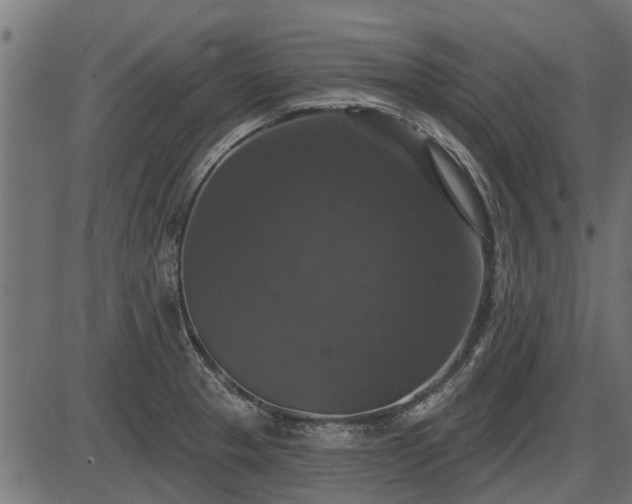 X0000086301329200704091011