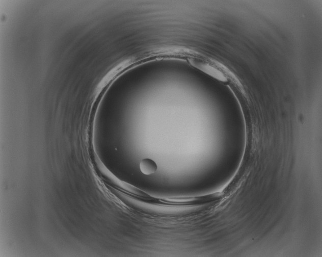 X0000086301330200704091011