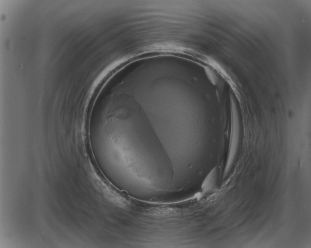 X0000086301331200704091011