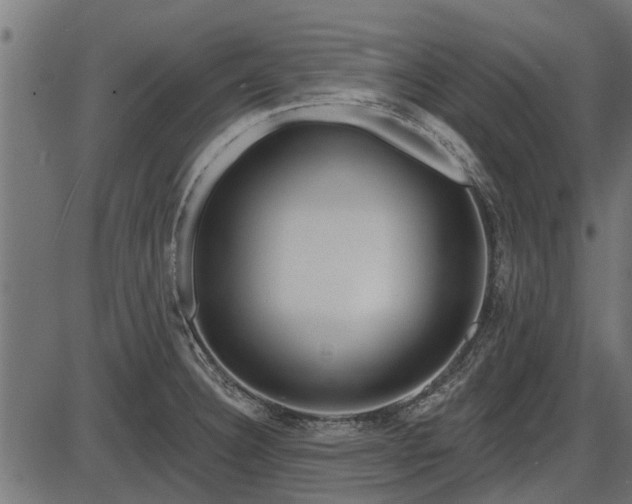 X0000086301332200704091011