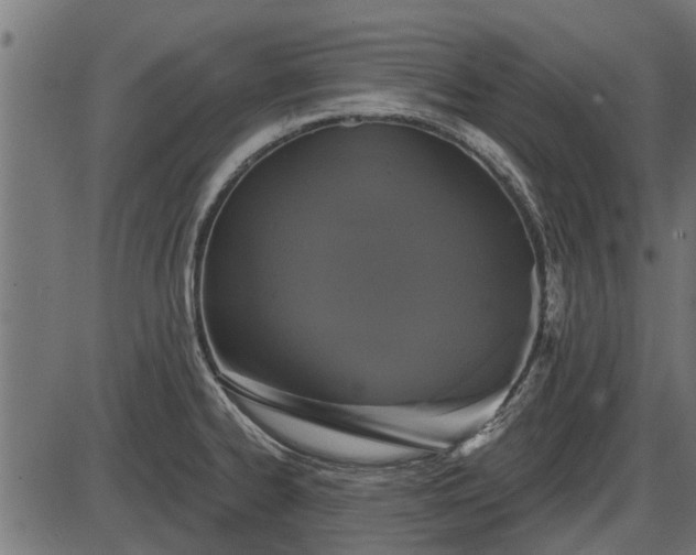 X0000086301334200704091011