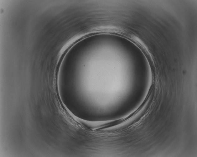 X0000086301336200704091011