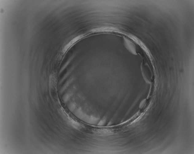 X0000086301337200704091011