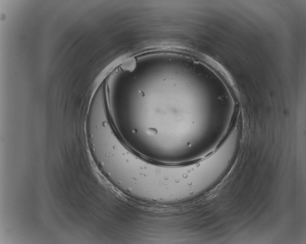 X0000086301338200704091011