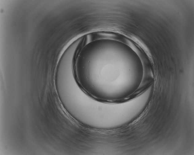 X0000086301340200704091011