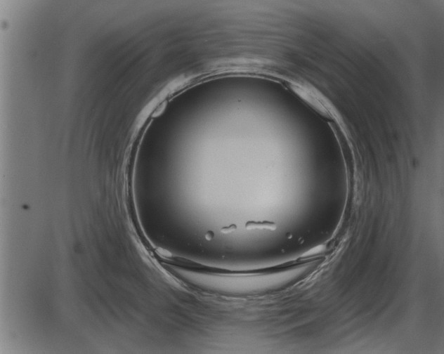 X0000086301341200704091011