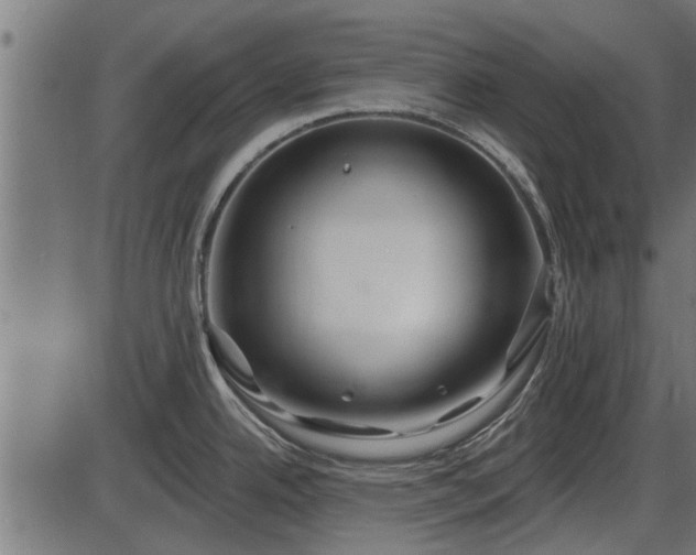 X0000086301342200704091011