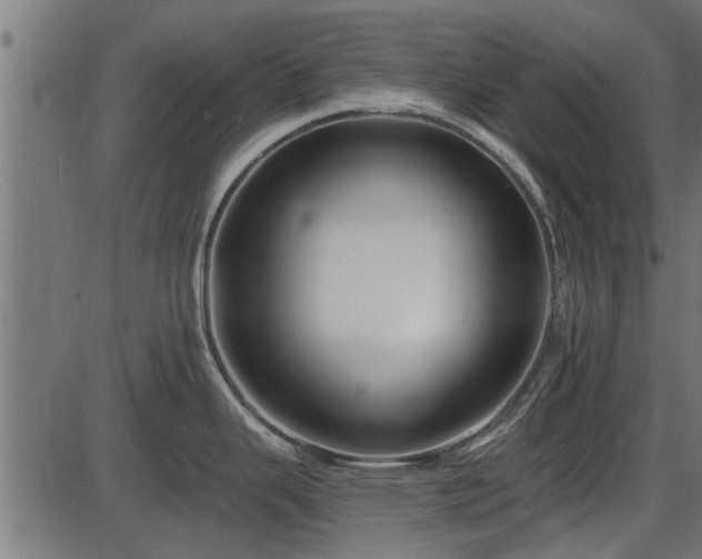 X0000086301343200704091011