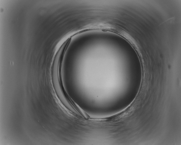 X0000086301344200704091011