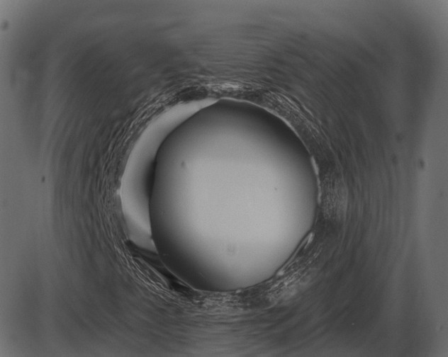 X0000086301345200704091011