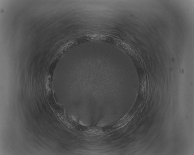 X0000086301346200704091011