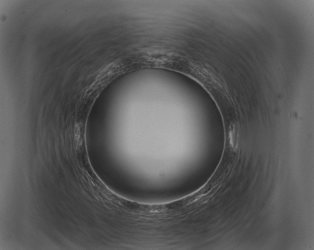 X0000086301347200704091011