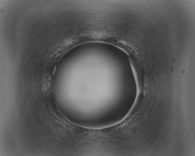 X0000086301349200704091011