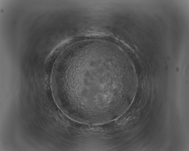 X0000086301351200704091011