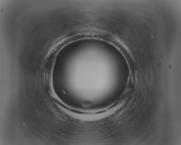 X0000086301352200704091010