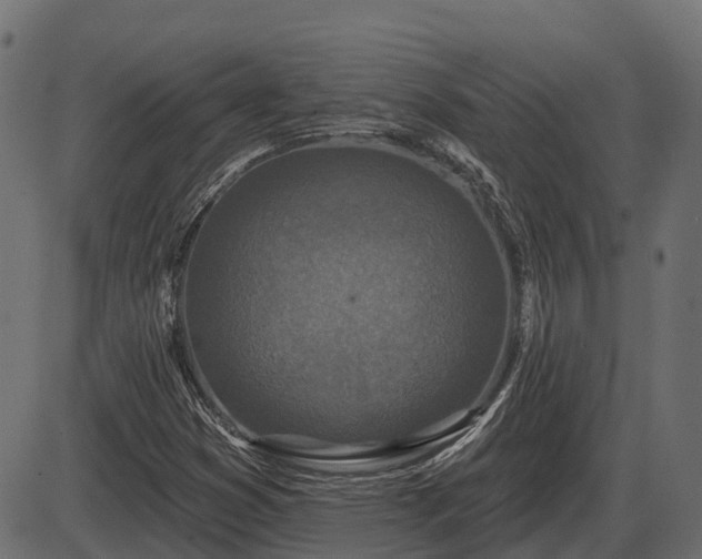 X0000086301353200704091010