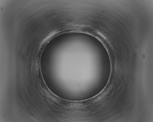 X0000086301354200704091010