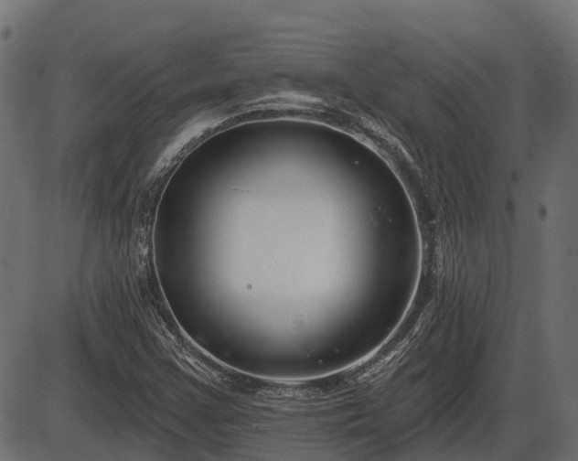 X0000086301355200704091010