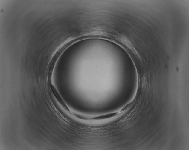 X0000086301356200704091010