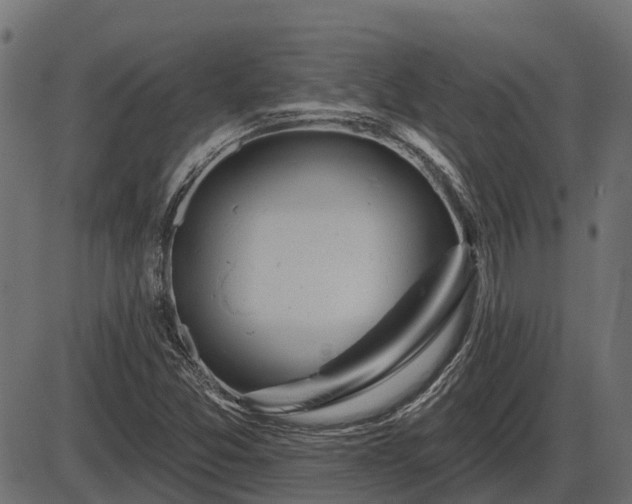 X0000086301357200704091010