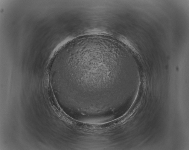 X0000086301358200704091010