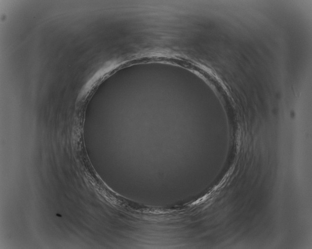 X0000086301359200704091010