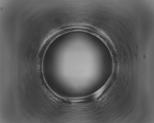 X0000086301360200704091010