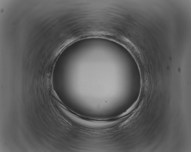 X0000086301361200704091010