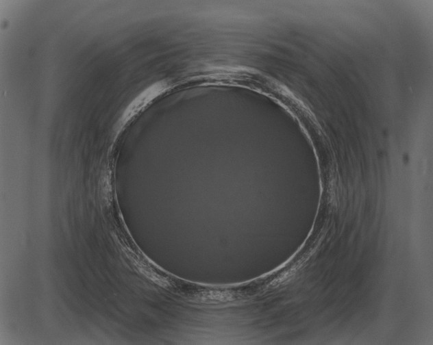 X0000086301362200704091010