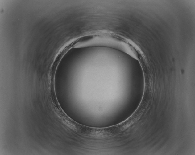 X0000086301364200704091010