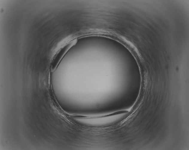 X0000086301365200704091010