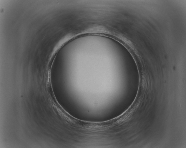 X0000086301366200704091010