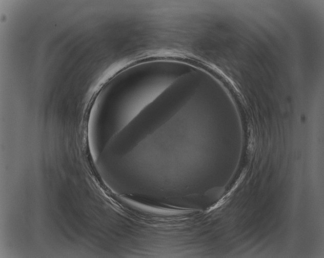 X0000086301367200704091010