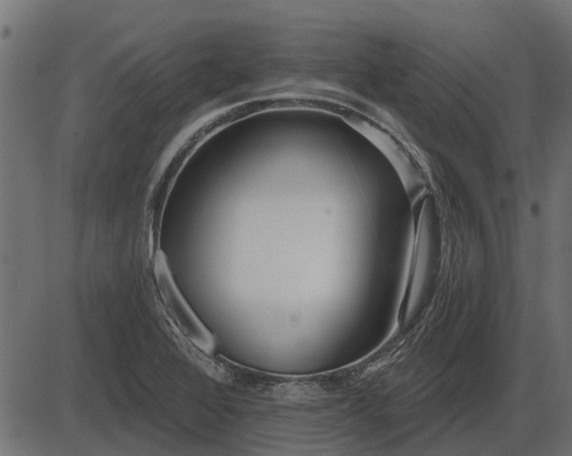 X0000086301368200704091010